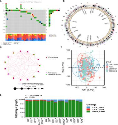 Prognostic analysis of cuproptosis-related gene in triple-negative breast cancer